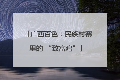 广西百色：民族村寨里的 “致富鸡”