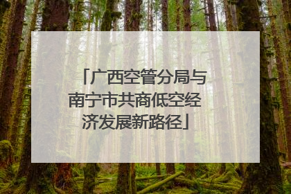 广西空管分局与南宁市共商低空经济发展新路径