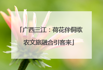 广西三江：荷花伴侗歌 农文旅融合引客来