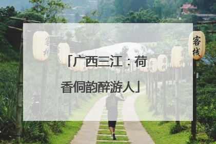 广西三江：荷香侗韵醉游人