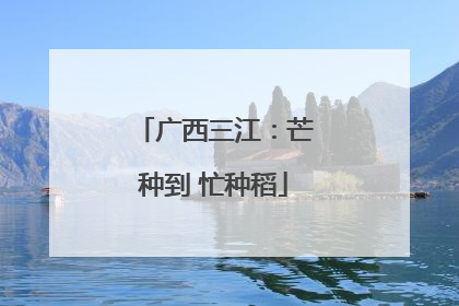广西三江：芒种到 忙种稻