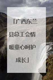 广西东兰县总工会情暖童心呵护成长