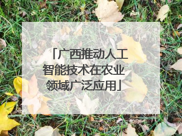 广西推动人工智能技术在农业领域广泛应用