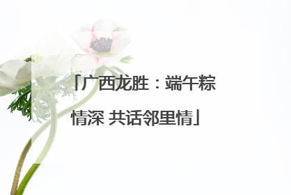 广西龙胜：端午粽情深 共话邻里情