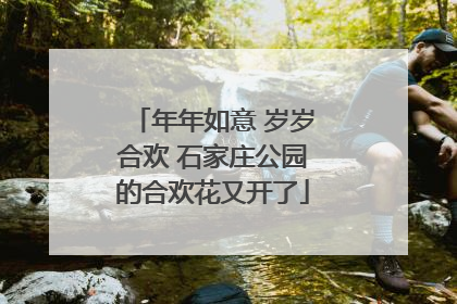 年年如意 岁岁合欢 石家庄公园的合欢花又开了