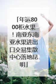年运8000柜水果！南亚东南亚水果进出口交易集散中心落地昆明