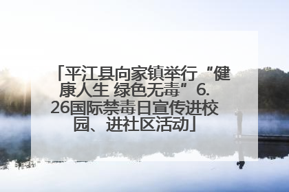 平江县向家镇举行“健康人生 绿色无毒”6.26国际禁毒日宣传进校园、进社区活动