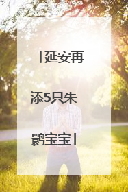 延安再添5只朱鹮宝宝