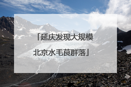 延庆发现大规模北京水毛茛群落