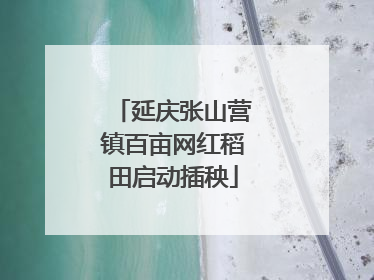 延庆张山营镇百亩网红稻田启动插秧