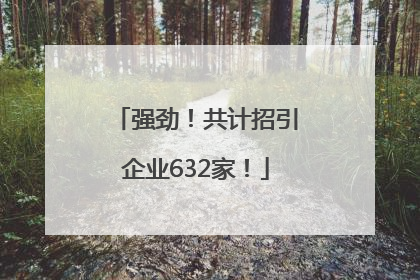 强劲！共计招引企业632家！