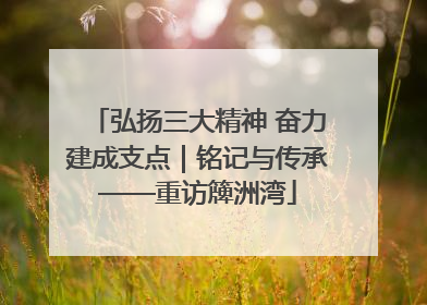 弘扬三大精神 奋力建成支点｜铭记与传承——重访簰洲湾