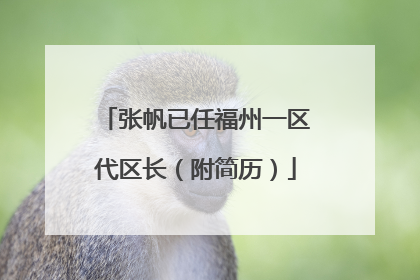 张帆已任福州一区代区长（附简历）