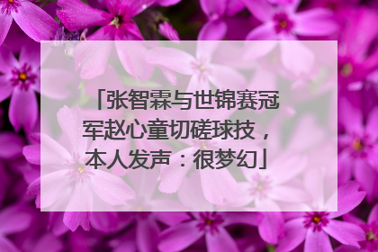 张智霖与世锦赛冠军赵心童切磋球技，本人发声：很梦幻