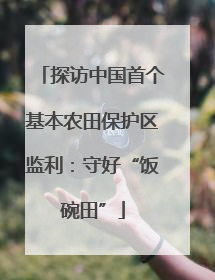 探访中国首个基本农田保护区监利：守好“饭碗田”