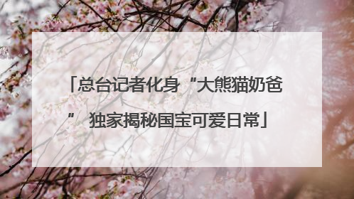 总台记者化身“大熊猫奶爸” 独家揭秘国宝可爱日常