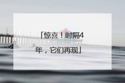 惊喜！时隔4年，它们再现