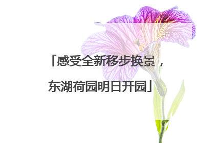 感受全新移步换景，东湖荷园明日开园