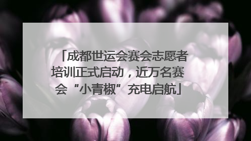 成都世运会赛会志愿者培训正式启动，近万名赛会“小青椒”充电启航