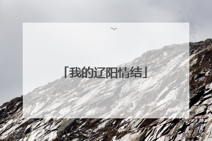 我的辽阳情结