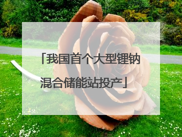 我国首个大型锂钠混合储能站投产