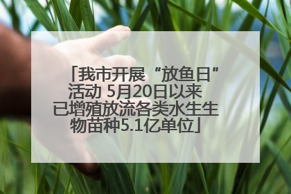 我市开展“放鱼日”活动 5月20日以来已增殖放流各类水生生物苗种5.1亿单位