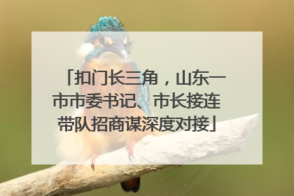 扣门长三角，山东一市市委书记、市长接连带队招商谋深度对接