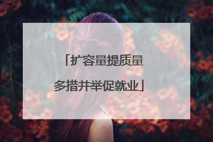 扩容量提质量 多措并举促就业