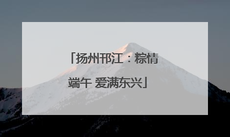 扬州邗江：粽情端午 爱满东兴