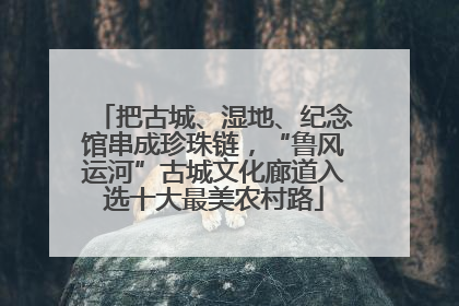 把古城、湿地、纪念馆串成珍珠链，“鲁风运河”古城文化廊道入选十大最美农村路