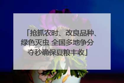 抢抓农时、改良品种、绿色灭虫 全国多地争分夺秒确保夏粮丰收