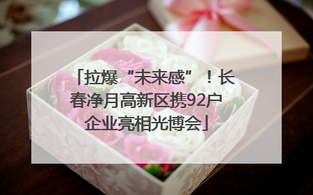 拉爆“未来感”！长春净月高新区携92户企业亮相光博会