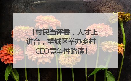 村民当评委，人才上讲台，望城区举办乡村CEO竞争性路演