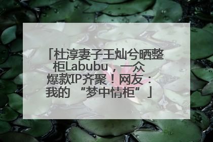 杜淳妻子王灿兮晒整柜Labubu，一众爆款IP齐聚！网友：我的 “梦中情柜”
