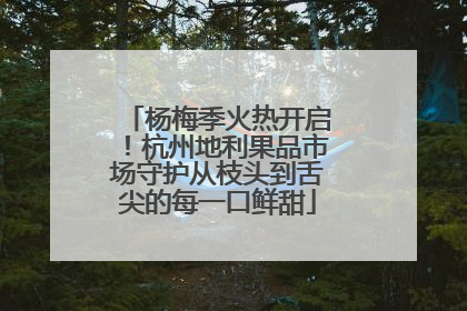 杨梅季火热开启！杭州地利果品市场守护从枝头到舌尖的每一口鲜甜