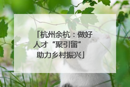杭州余杭：做好人才“聚引留” 助力乡村振兴