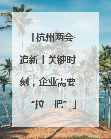杭州两会·追新丨关键时刻，企业需要“拉一把”