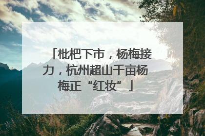 枇杷下市，杨梅接力，杭州超山千亩杨梅正“红妆”