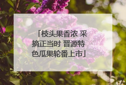 枝头果香浓 采摘正当时 晋源特色瓜果轮番上市