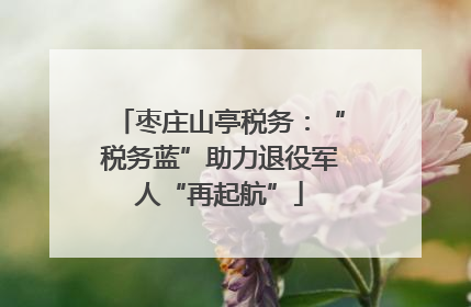 枣庄山亭税务：“税务蓝”助力退役军人“再起航”