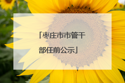 枣庄市市管干部任前公示