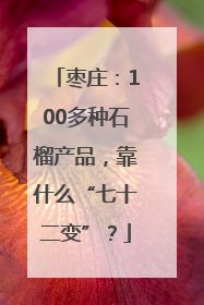 枣庄：100多种石榴产品，靠什么“七十二变”？