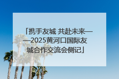 携手友城 共赴未来——2025黄河口国际友城合作交流会侧记