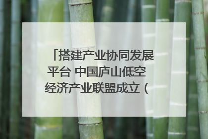 搭建产业协同发展平台 中国庐山低空经济产业联盟成立（组图｜视频）