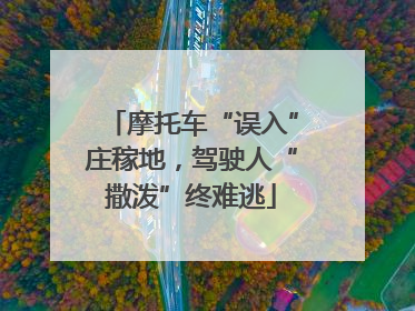 摩托车“误入”庄稼地，驾驶人“撒泼”终难逃