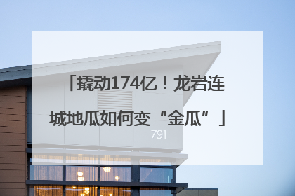 撬动174亿！龙岩连城地瓜如何变“金瓜”