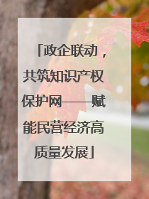政企联动，共筑知识产权保护网——赋能民营经济高质量发展