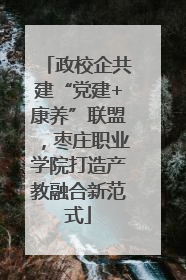 政校企共建“党建+康养”联盟，枣庄职业学院打造产教融合新范式