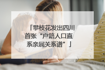 攀枝花发出四川首张“户籍人口直系亲属关系谱”