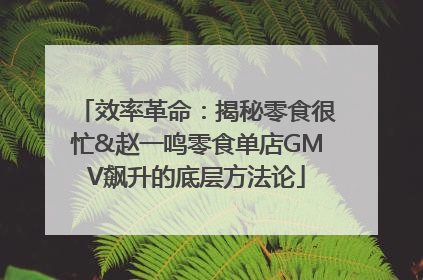 效率革命：揭秘零食很忙&赵一鸣零食单店GMV飙升的底层方法论